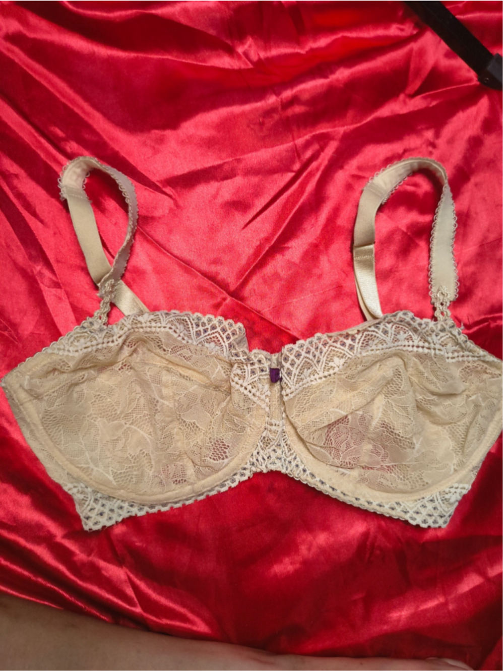 Fayreform 34F Ivory Floral Lace Underwire Bra Unworn Without Tags